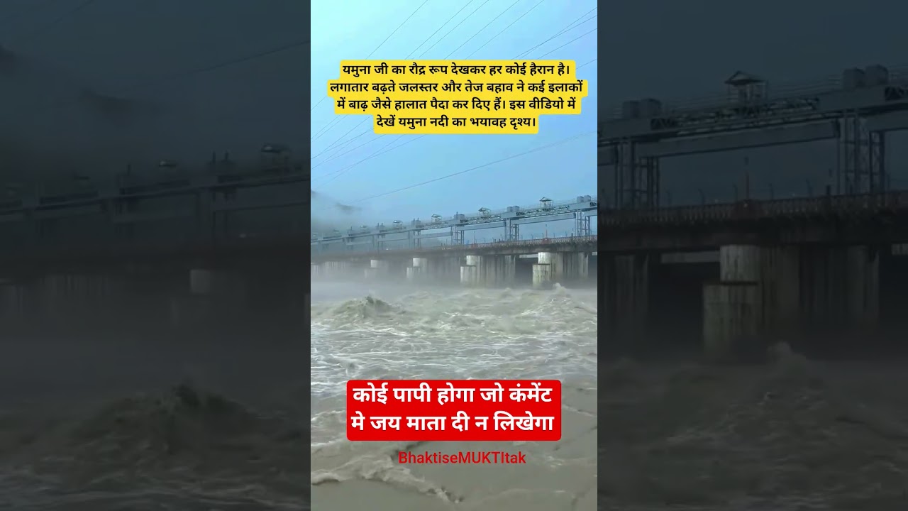 यमुना जी का रौद्र रूप 😱 #yamunaflood #yamunariver #flood #heavyrain #viralvideo #shorts #yamunaji