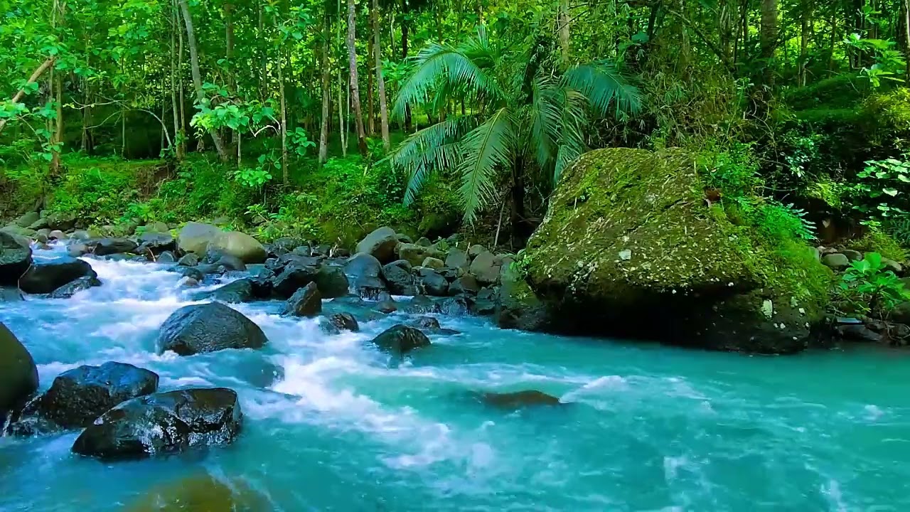 nature's Calm - Sleep Like a Baby – This Forest Stream Sound Is a Total Game Changer - Deep Sleep