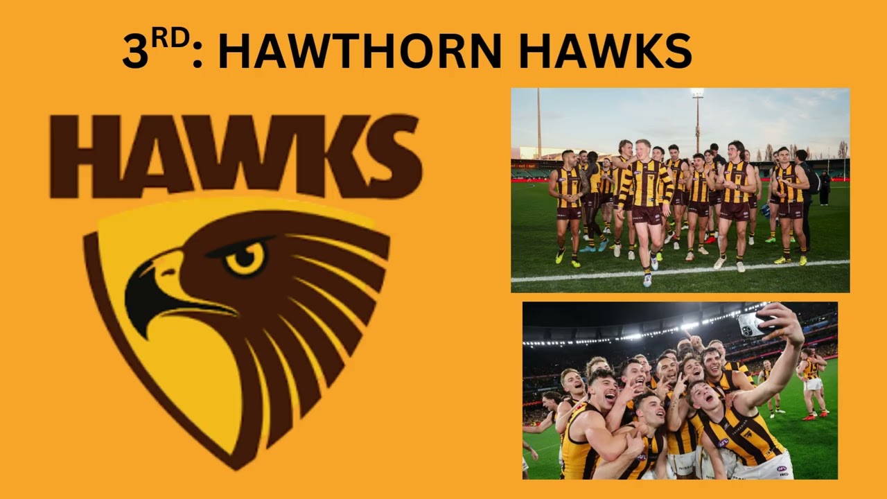 AFL Ladder Predictions 2026 + Finals and Awards!