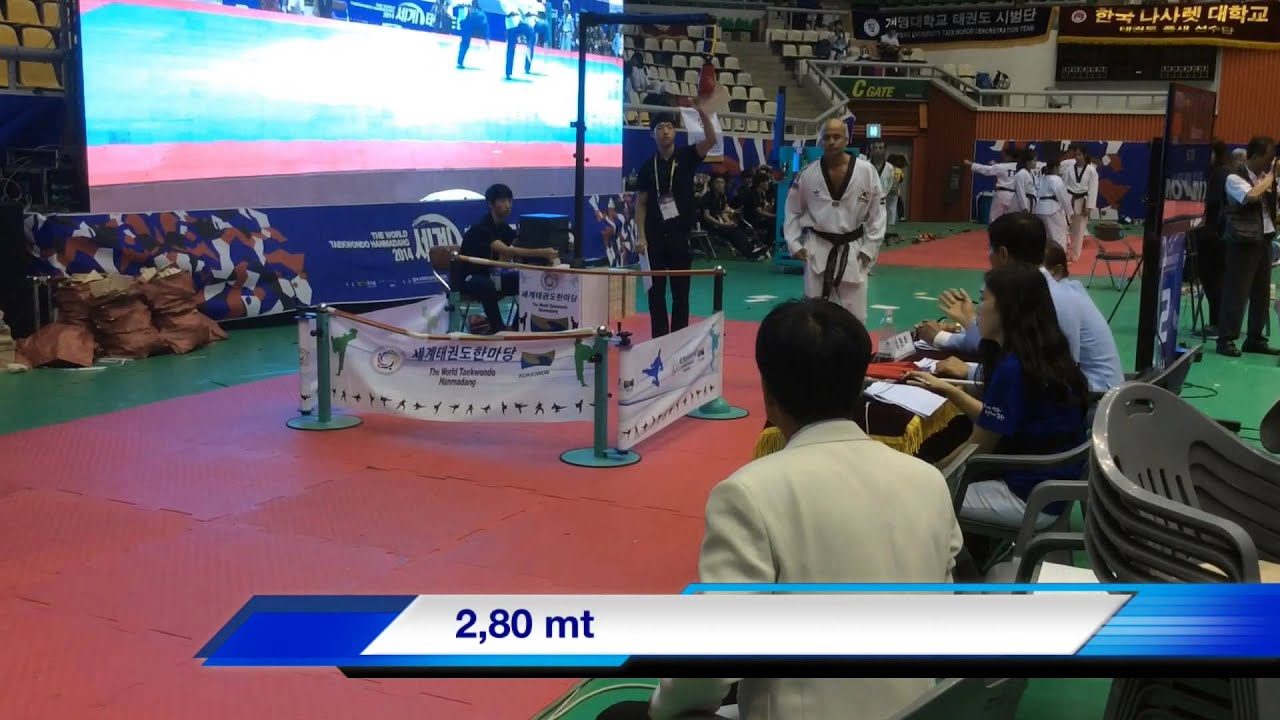 MAESTRO GIUSEPPE PIZZOLANTE CALCIO VOLANTE (LATERALE IN VOLO) korea 2014.