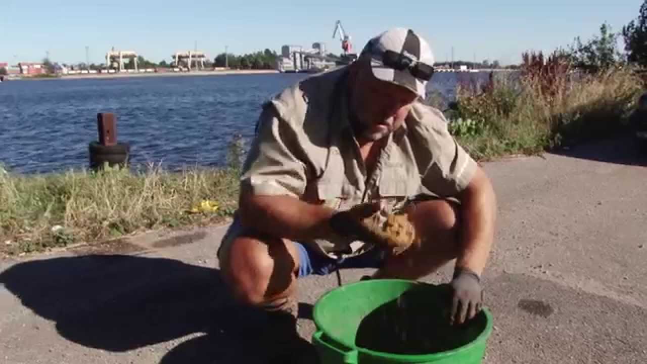 На рыбалку с Нормундом : ловля болонской удочкой на канале #5