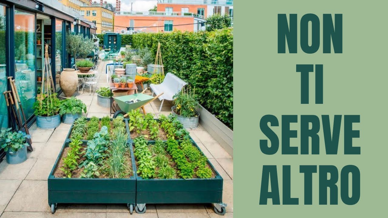 ORTO SUL BALCONE per PRINCIPIANTI | guida pratica