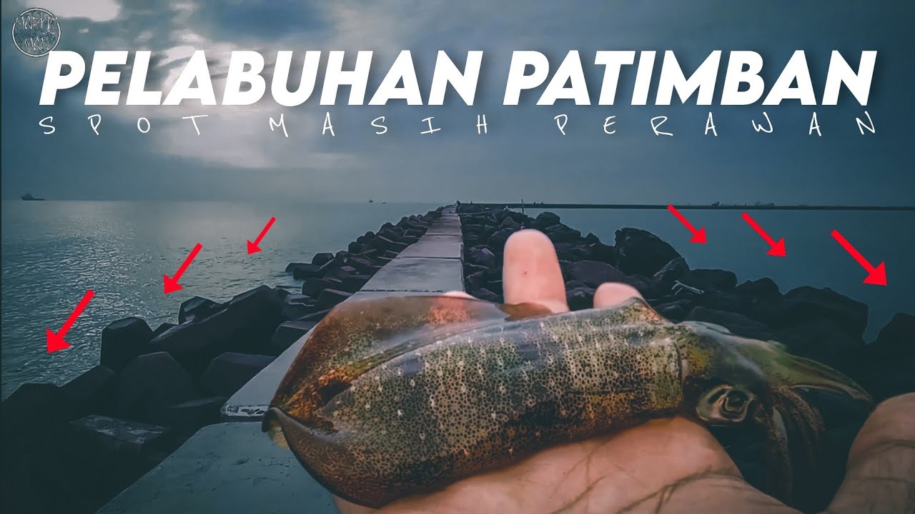 PANEN..!!! Mancing di pelabuhan patimban terbaru