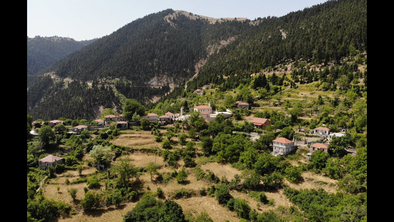 Φύγανε αλλά δεν ξεχάσανε, Οικ. Δημητρίου & Ελένης Τάσιου από τα Σελλά Ευρυτανίας