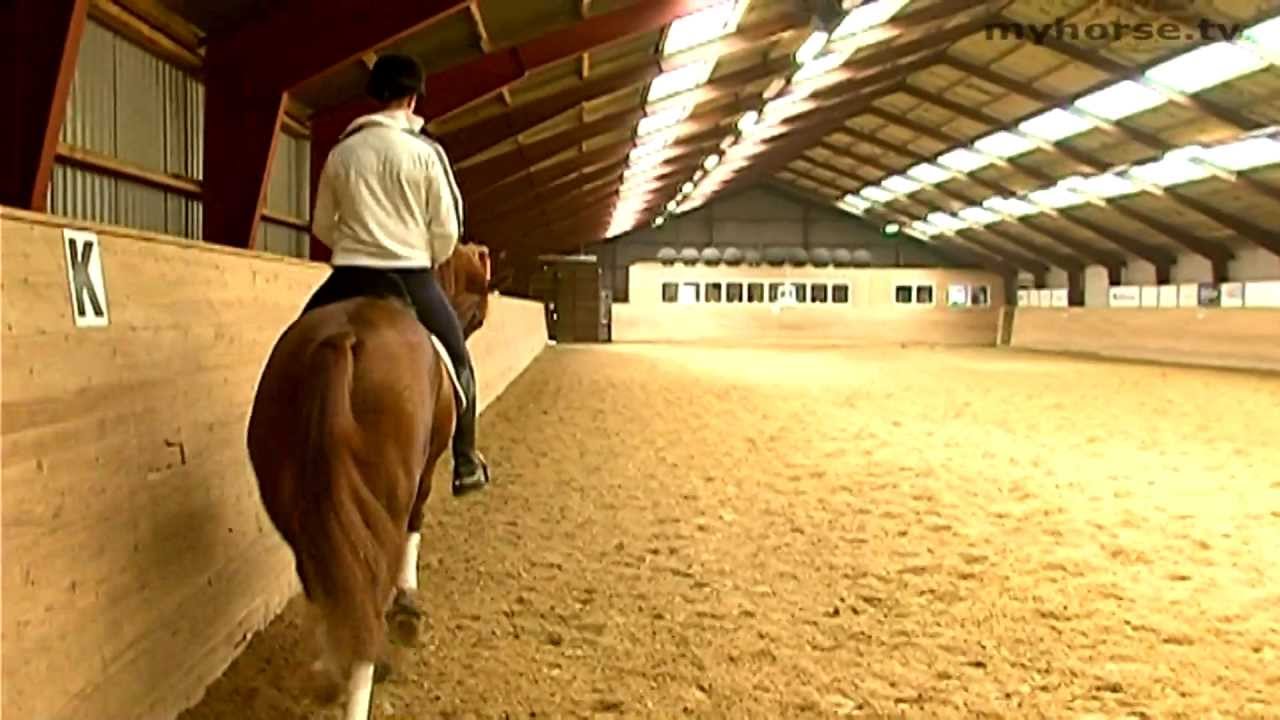 Dressage Exercise - Shoulder in