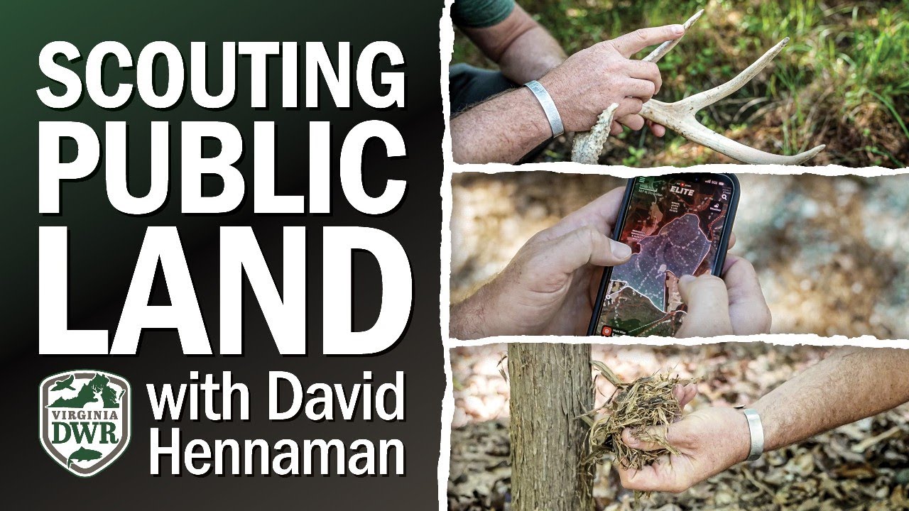 How to Scout for Deer on Public Land in Virginia