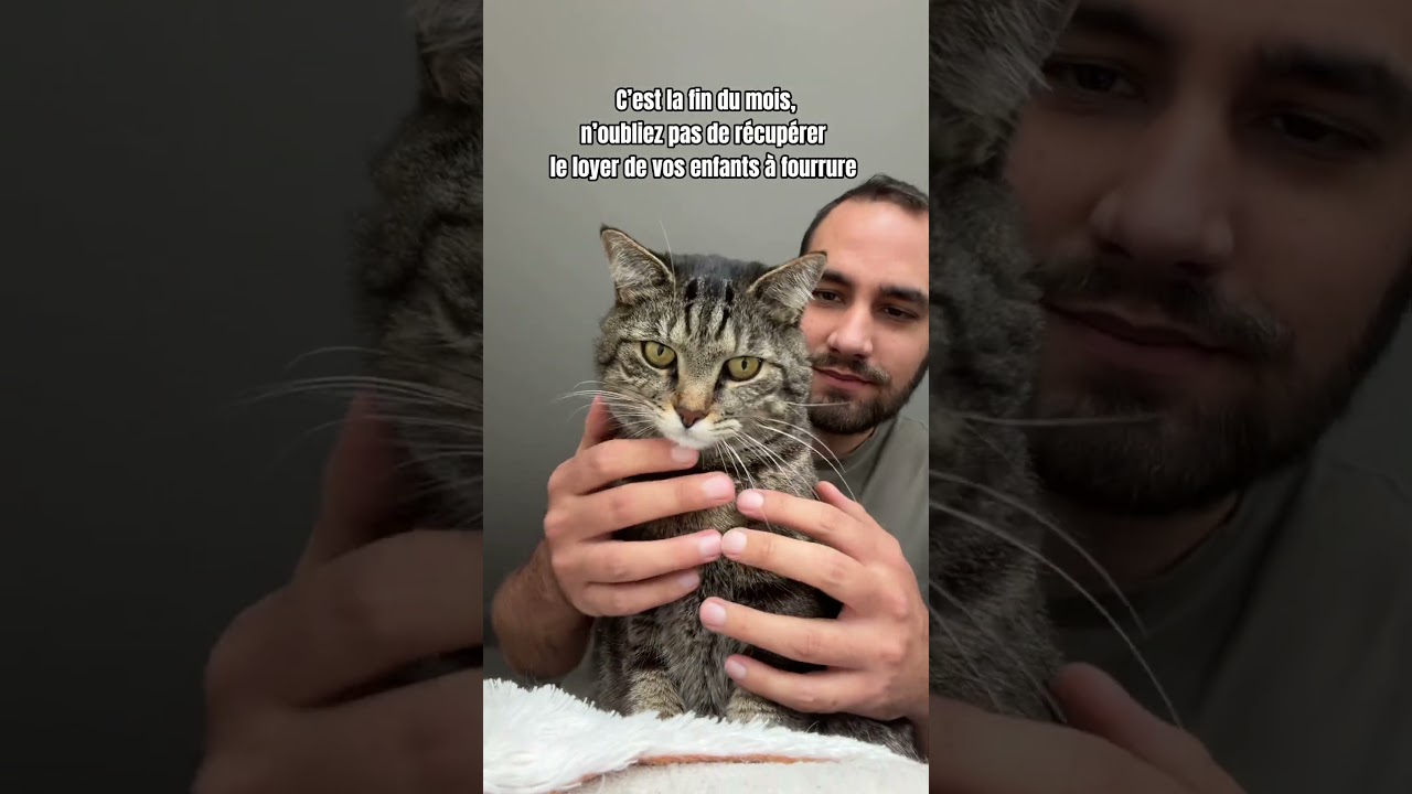 Uniquement en bisous et c&acirc;lin ! 😜🥰