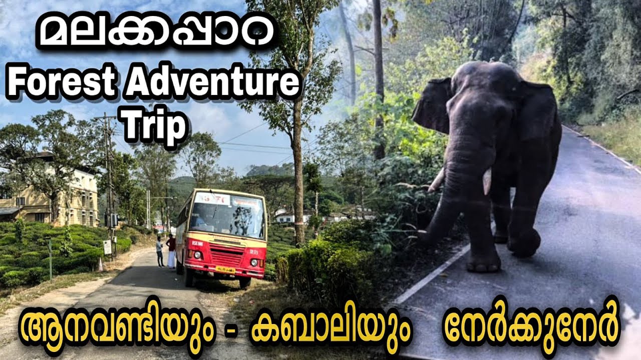 Malakkappara Sightseeing KSRTC Trip | Must Visiting Route | Elephant Attack