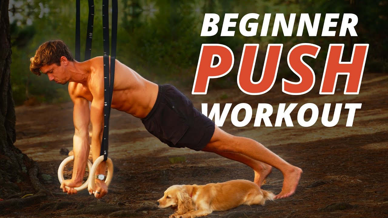 Beginner Rings Push Workout! (SETS & REPS)