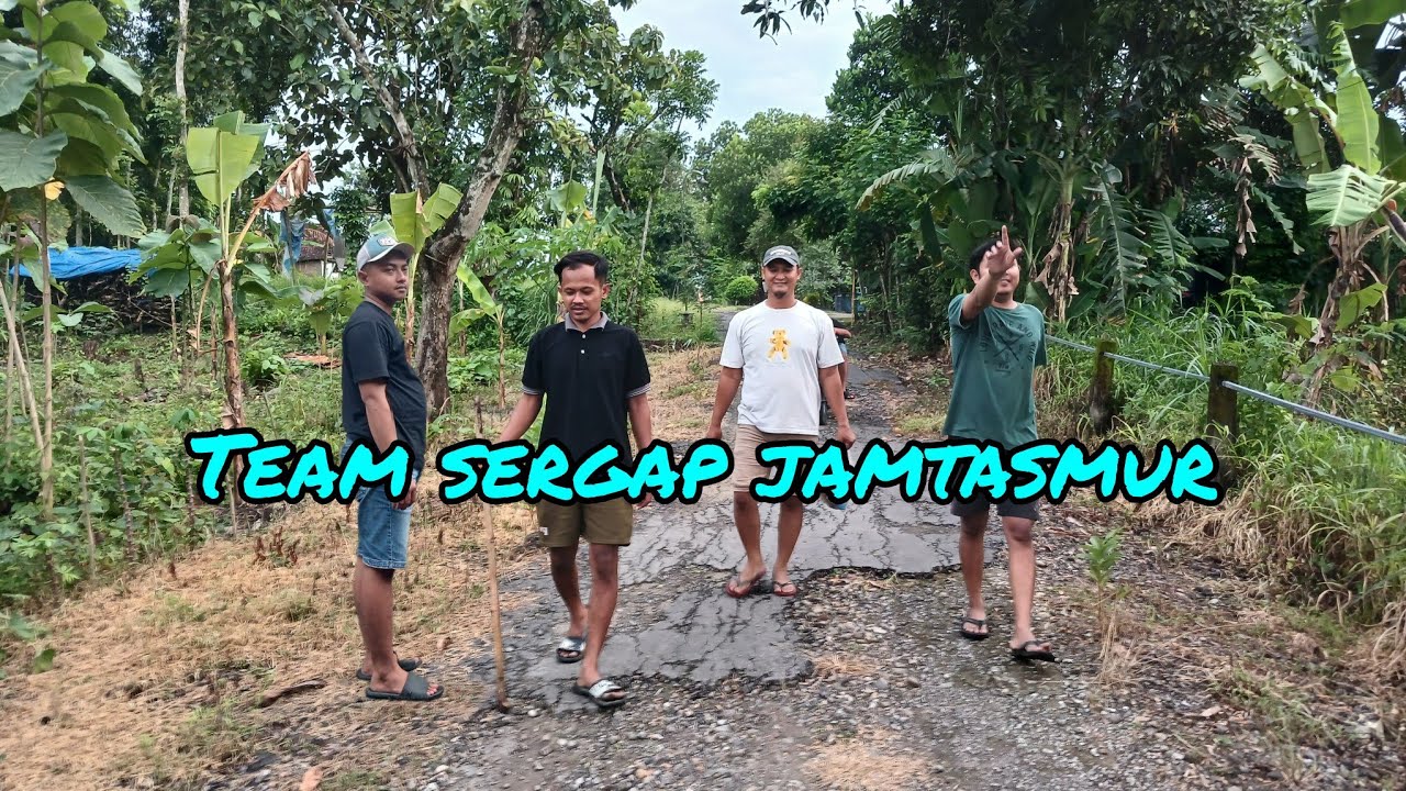 JAMUR KOYOK UDAN SAATNYA TEKEK JAMTASMUR MENYERANG