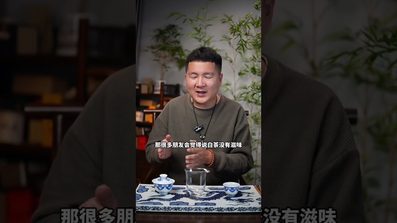 老白茶怎么冲泡更好喝？ #爱生活爱喝茶 #抖音茶知识 #茶知识 #老白茶 #白茶