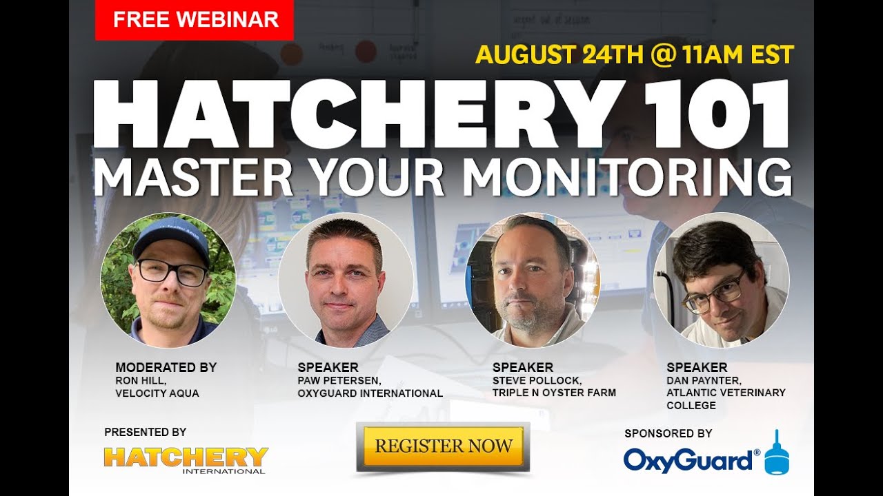 Hatchery 101: Master your monitoring