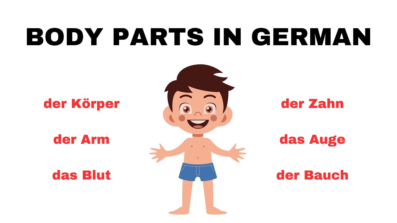 Body Parts in German | Körperteile | Learn German | German Made Easy
