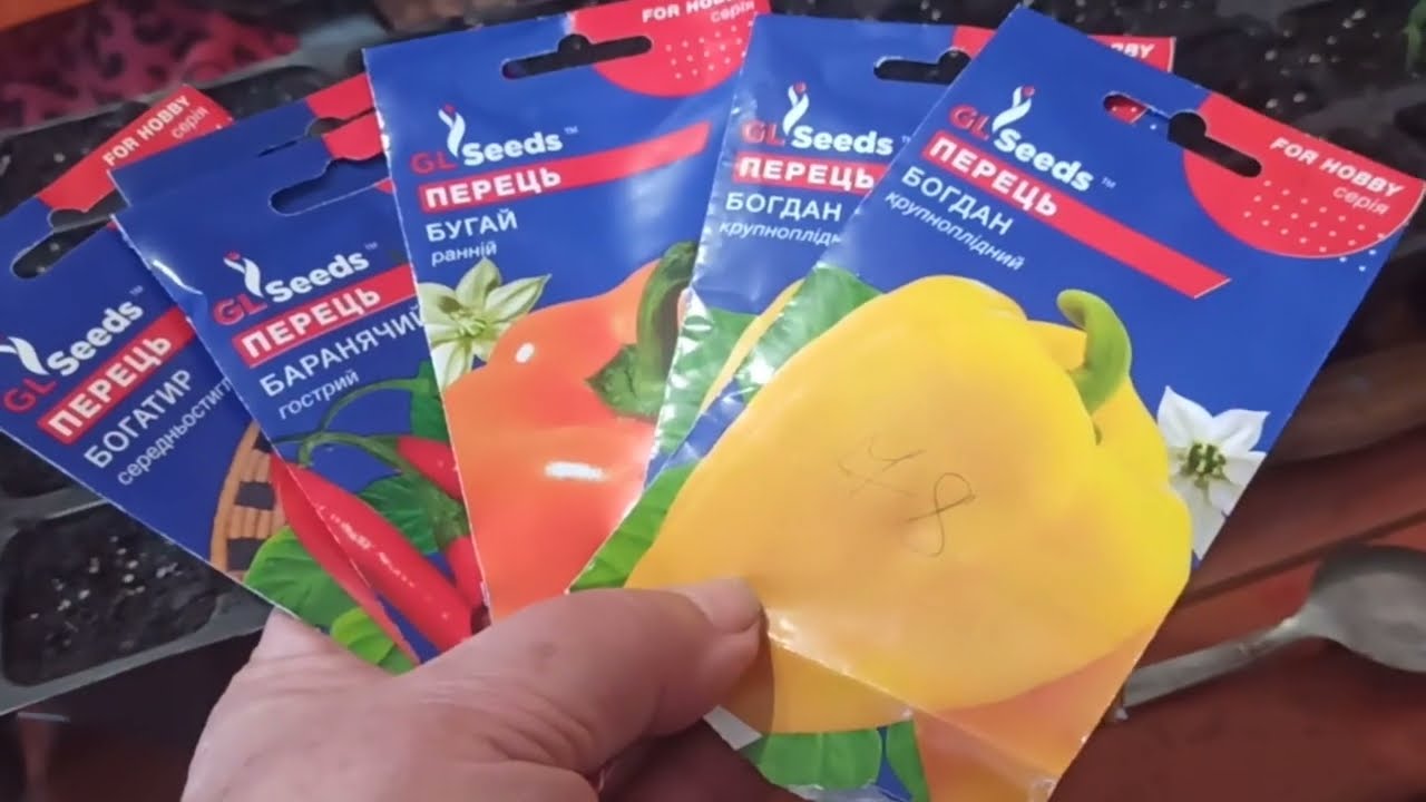 ПЕРЕСІВАЮ ПЕРЕЦЬ З СИНІХ ПАКЕТИКІВ