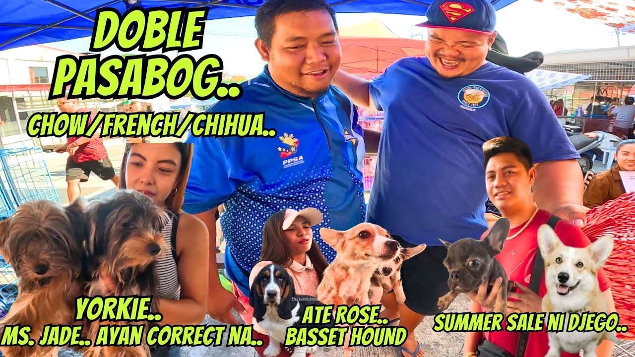ETO NA ULI MGA PRESYO PAMIGAY NILA.. DITO SA GROTTO..