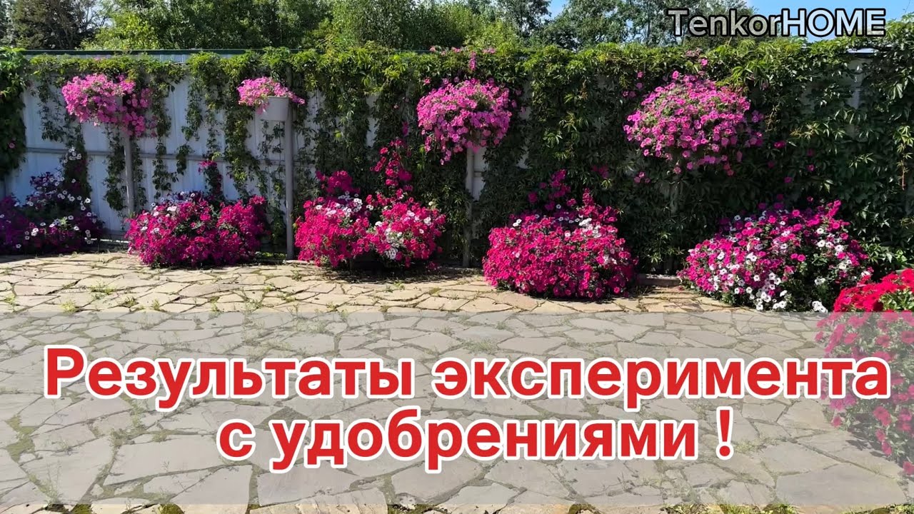 Результаты эксперимента с удобрениями!