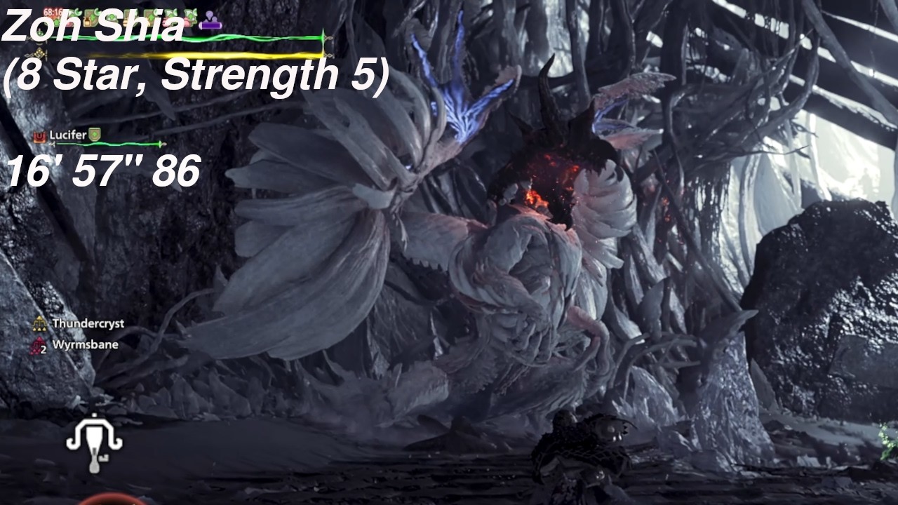 Light Bowgun | 8*5 Zoh Shia | 16' 57