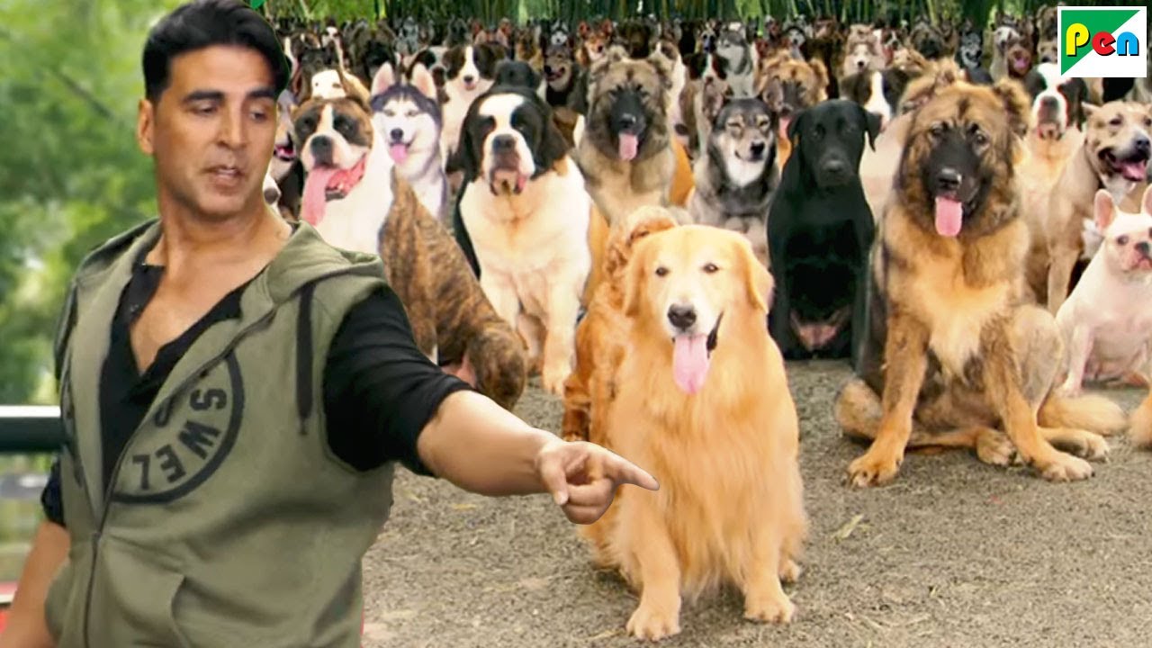 तेरे पैरों में घुंगरू बांधकर Shakira की तरह नचा दूंगा - Akshay Kumar - Entertainment Dog Scene