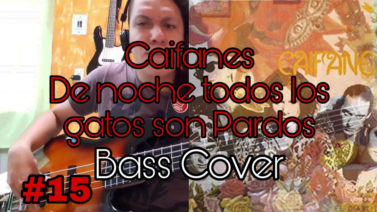 #15 De noche todos los gatos son pardos - Bass Cover!