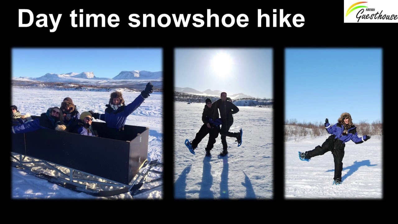 A lifetime of experiences at Abisko Guesthouse