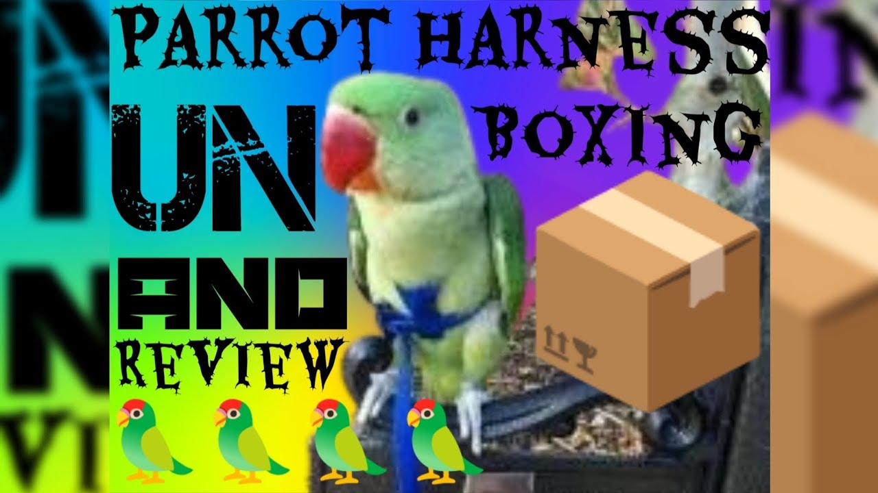 Parrot Harness Unboxing and Review.#Parrotharness#unboxing#unboxingvideo#harness#alexanderparrot#pet
