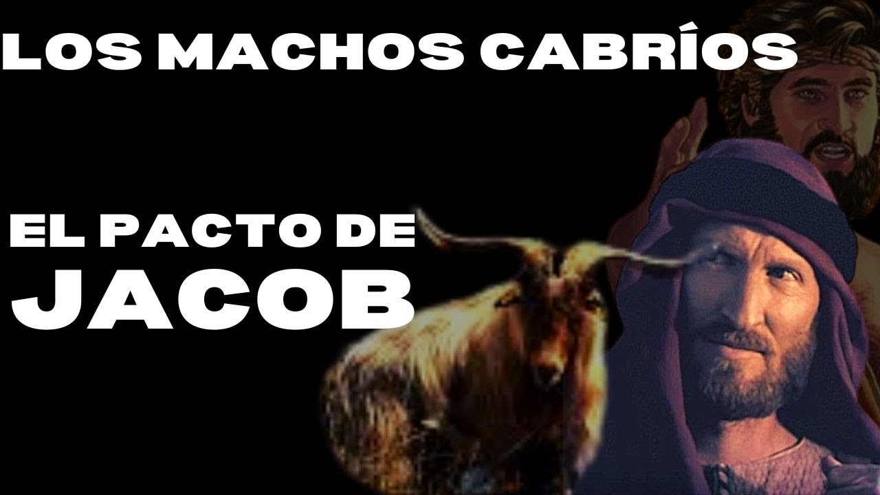 El pacto entre Jacob y Labán | Jacob salió con ganancia | Génesis 30 | Parte 2