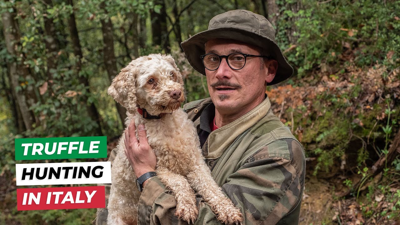 WHITE TRUFFLE: the SECRETS of the Italian truffle hunter