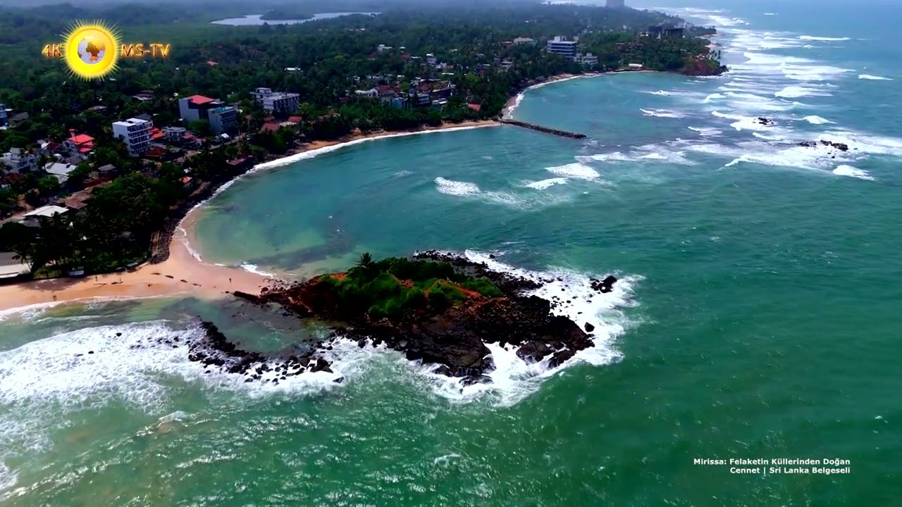 Mirissa: Felaketin Küllerinden Doğan Cennet | Sri Lanka Belgeseli