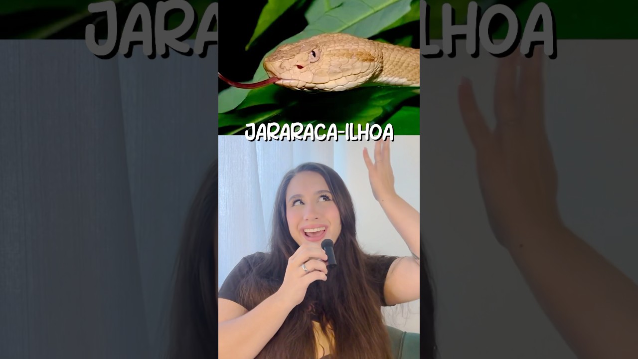 Animais que s&oacute; existem no Brasil: Jararaca-ilhoa 🐍🇧🇷