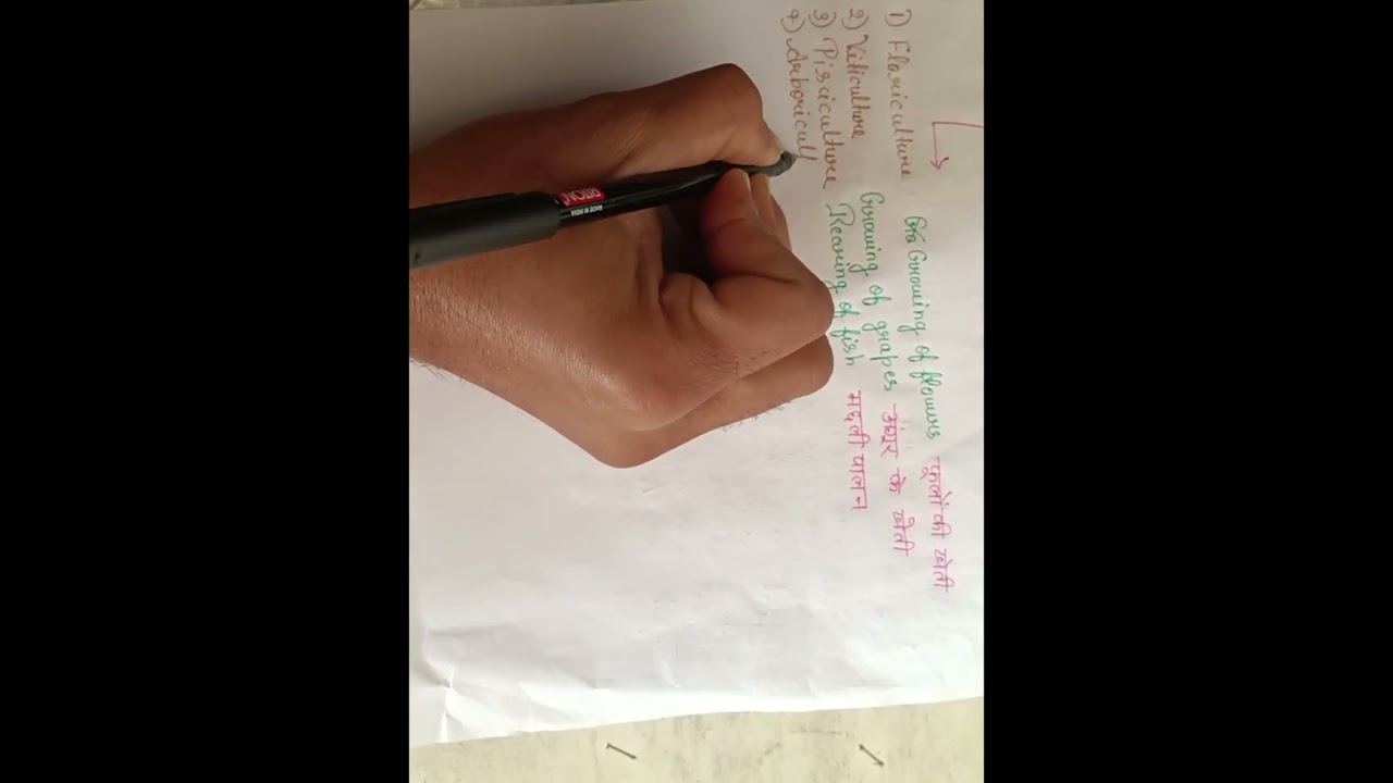 Root word (culture)##