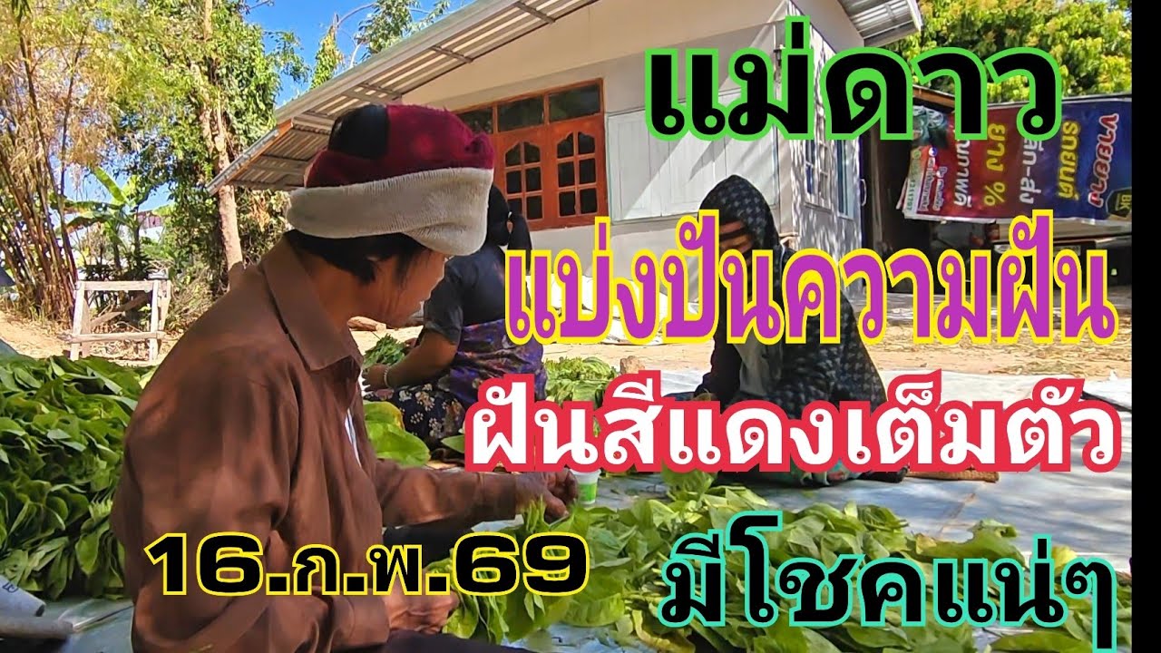 แม่ดาว เอาความฝันคนฝันแม่นมาฝาก สีแดงเต็มตัว 16.ก.พ.69#หวย #เลขเด็ด 