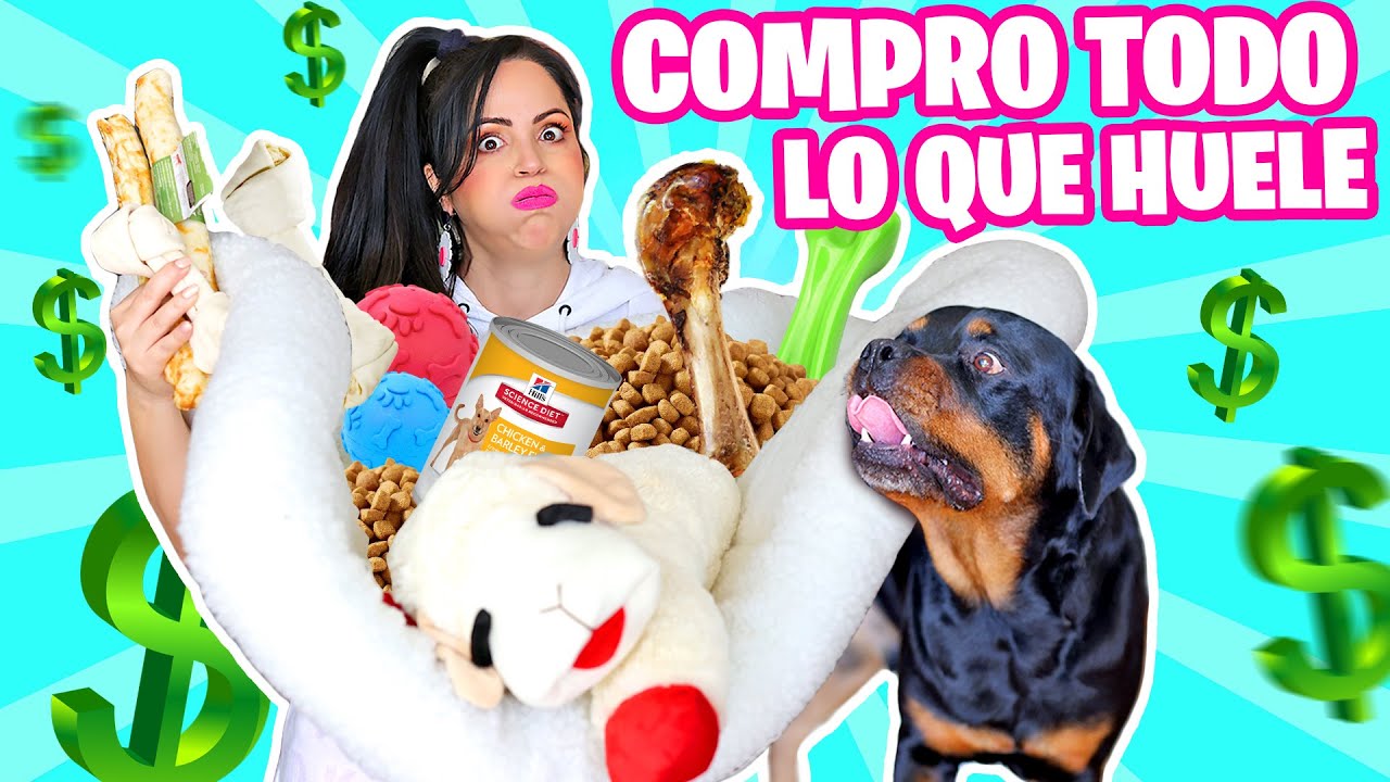 COMPRO TODO LO QUE MI PERRO TOCA EN LA TIENDA! 😱 Christmas Shopping Spree 2020 😅 Sandra Cires Art
