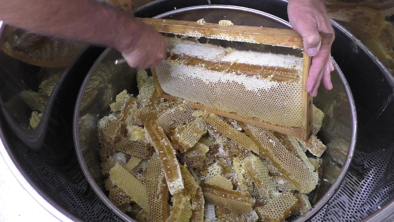 Melezitosehonig mit dem Deckelwachsschmelzer ernten
