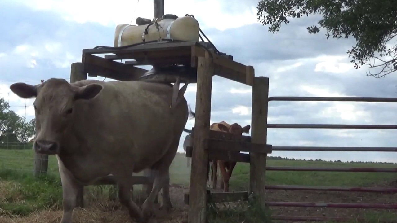 Fly Control Spray For Cows and Livestock