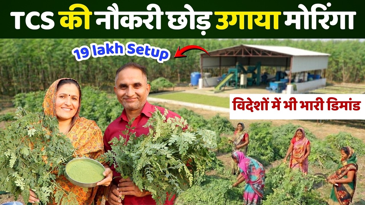 ₹20 Lakh Moringa Setup 🤯 IT वाले बने किसान 😱 विदेशों तक पहुंचा रहे Moringa Powder