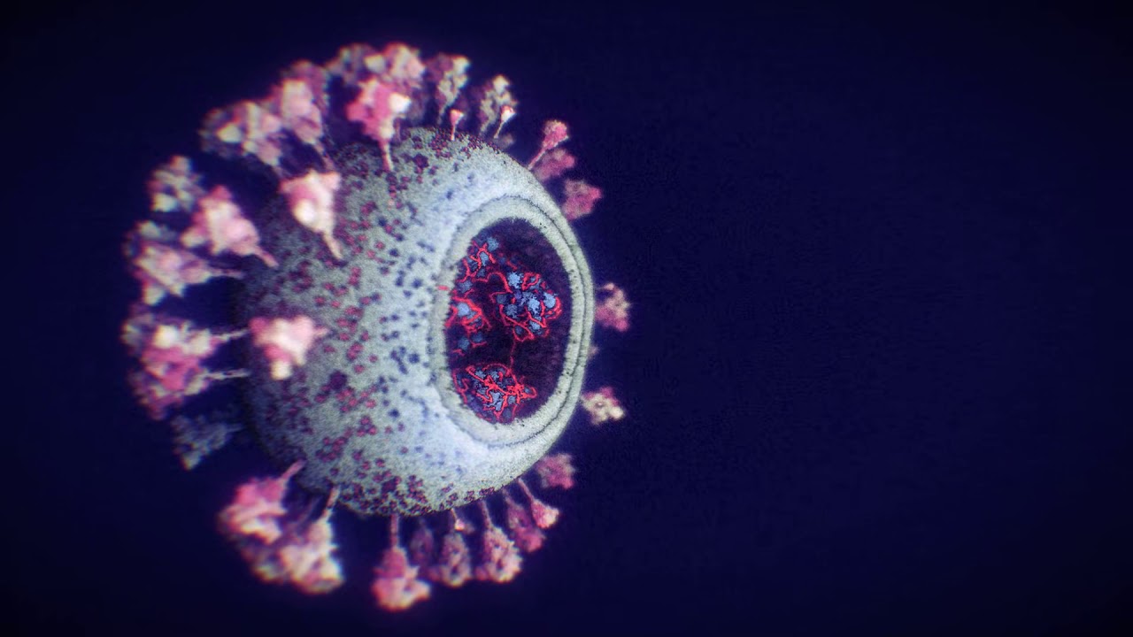 The structure of the novel coronavirus SARS-CoV-2