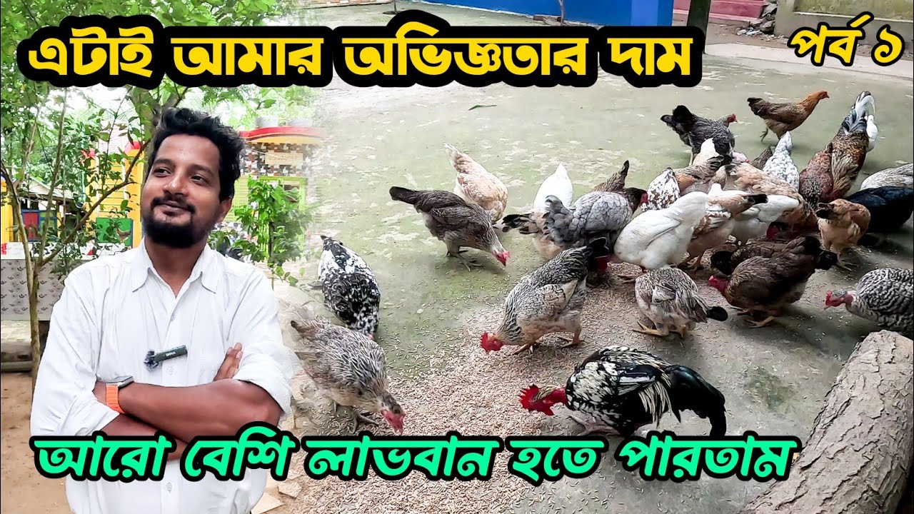 এটাই আমার অভিজ্ঞতার দাম আরো বেশি লাভবান হতে পারতাম #shakilfarming #দেশিমুরগি