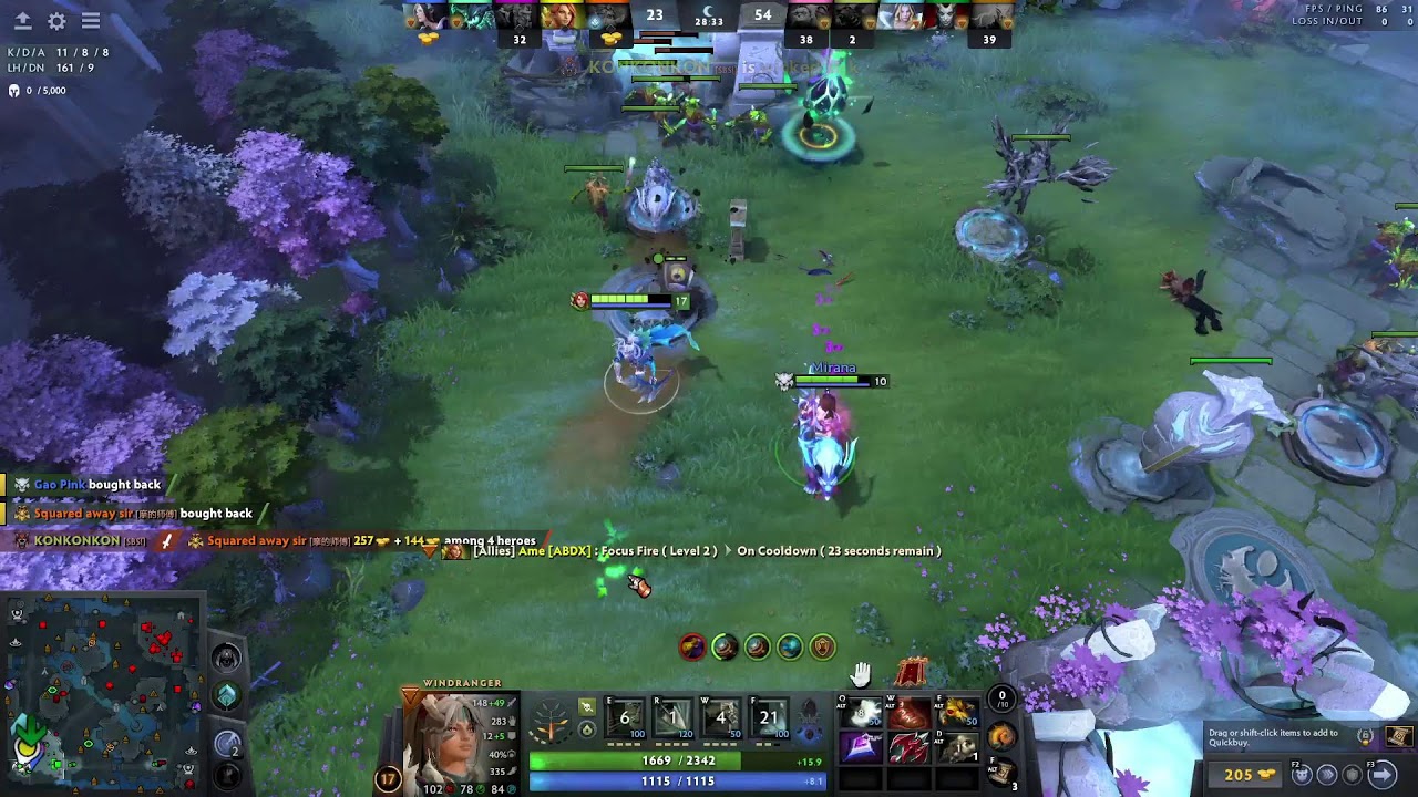 dotes