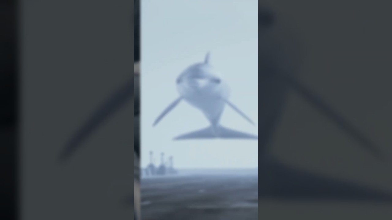 The Soviet Union’s Secret Dolphin Soldiers