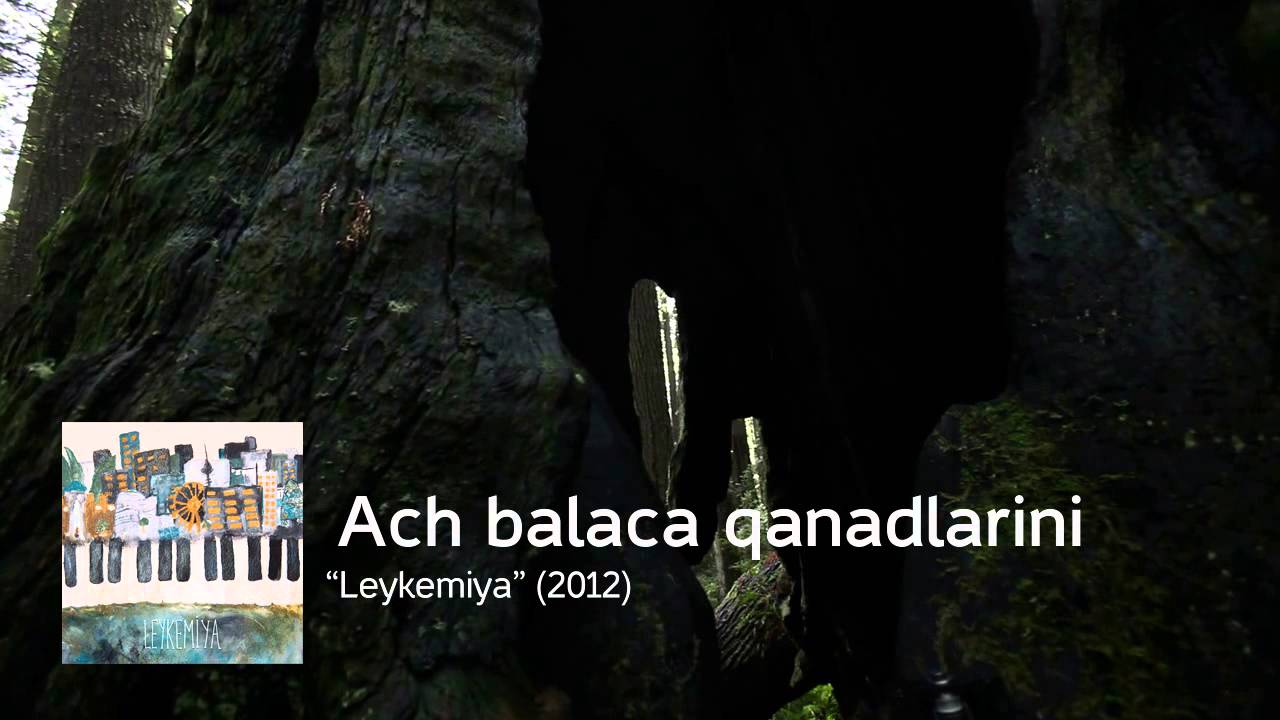 Qaraqan — Aç Balaca Qanadlarını