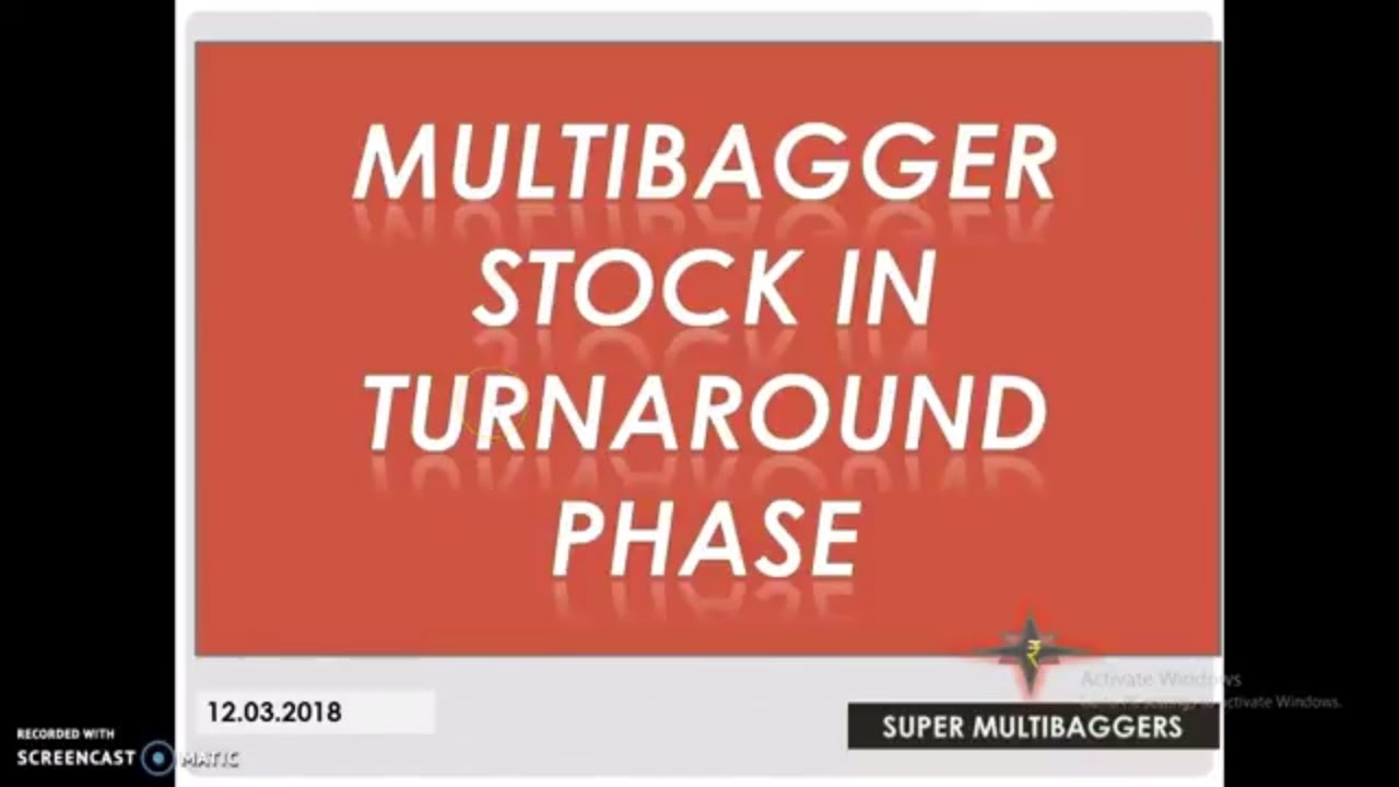 Multibagger share for 2019
