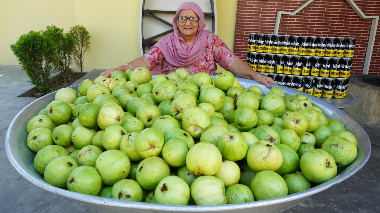 Healthy & Refreshing Guava Juice | Summer Special Drink | Veg Village Food