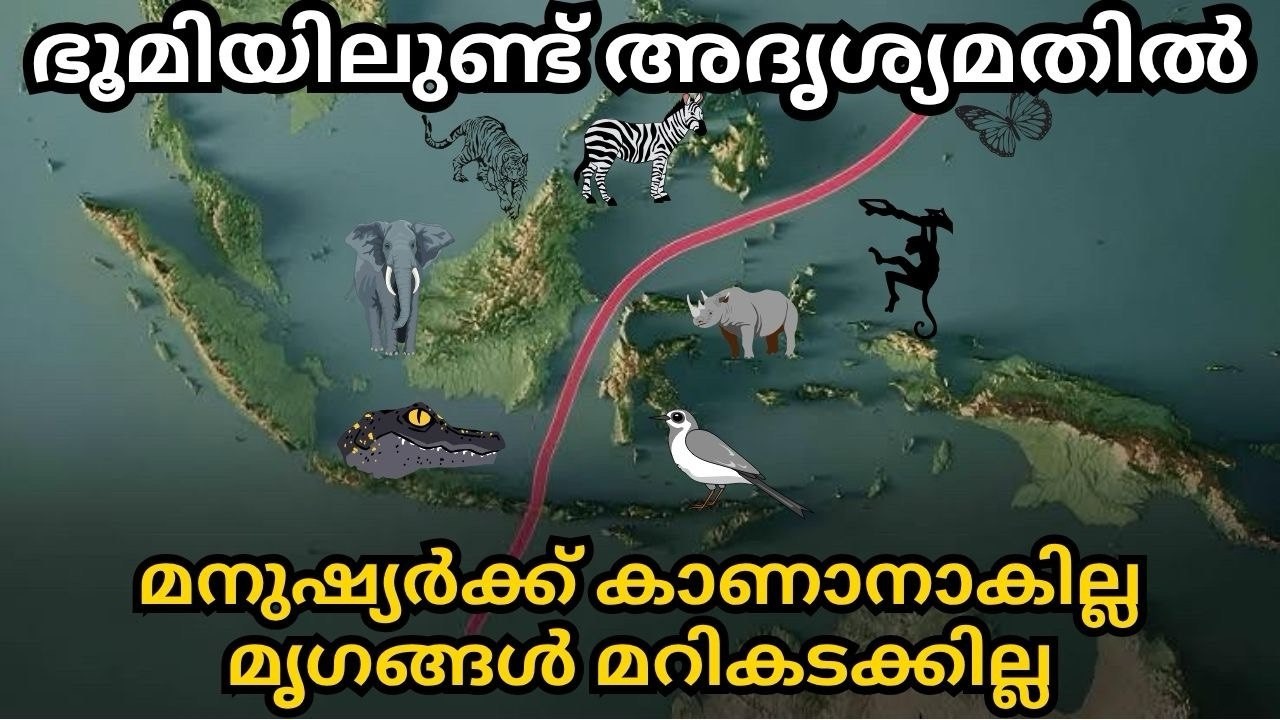 ഭൂമിയിലെ അദൃശ്യ മതിൽ | മൃഗങ്ങൾ ഇത് ചാടാത്തത് എന്തുകൊണ്ട്?