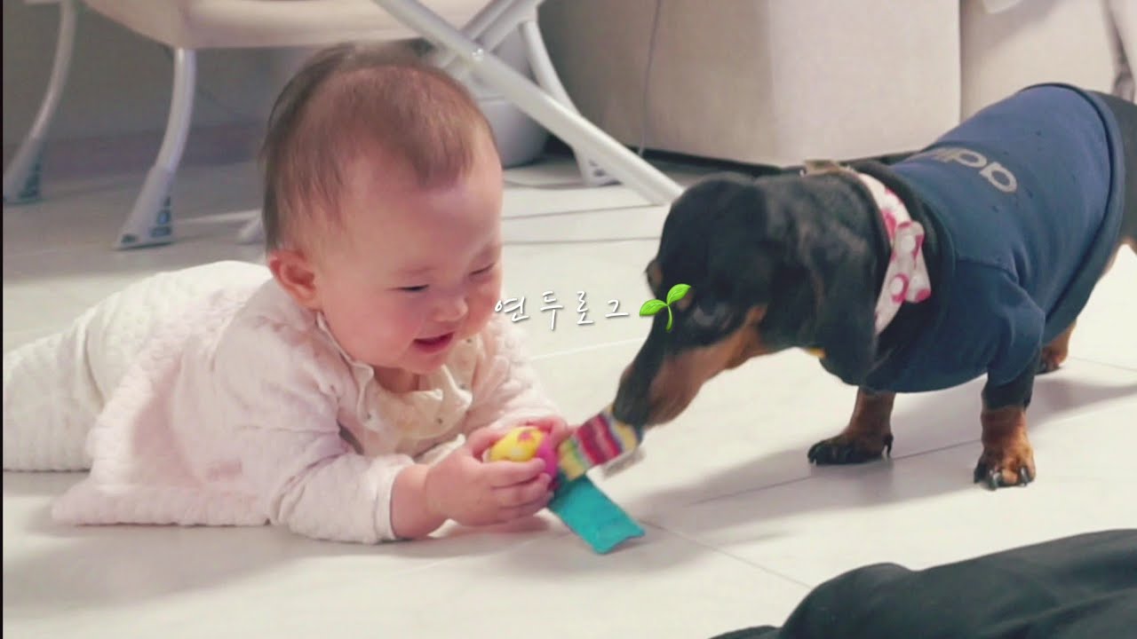 [육아 브이로그] 9개월 아기와 강아지가 함께한 일상 👶🏻❤🐶 / 오리 눈사람 본 날 🐤❄️ / 이유식 정체기 극복하기😢 / 작은 다이어트 🥗 / 일주일 브이로그