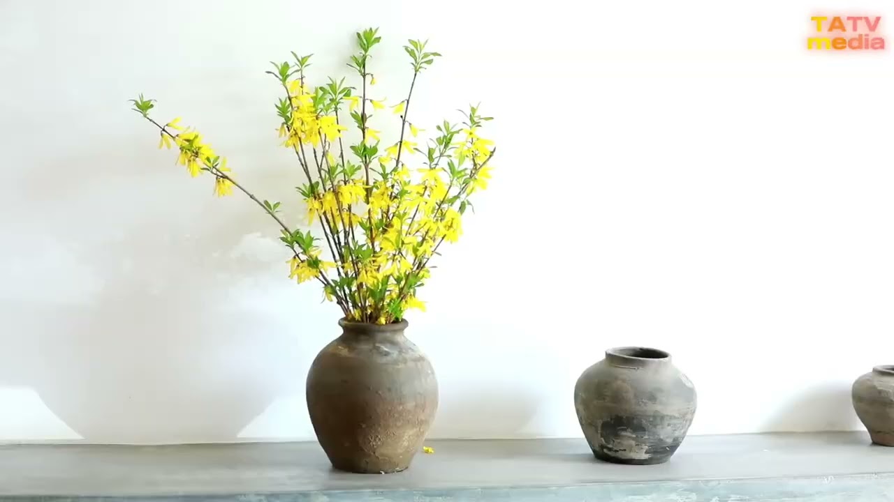 Tết ơi ! Thơ trung tướng Nguyễn Đức Hải - Nhạc LeO Trịnh Thiên Ân.