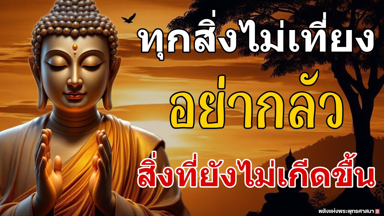 🙏ทุกสิ่งไม่เที่ยง อย่ากลัว สิ่งที่ยังไม่เกีดขื้น 🌿✨#คลายทุกข์ #กรรมดีไม่สูญเปล่า
