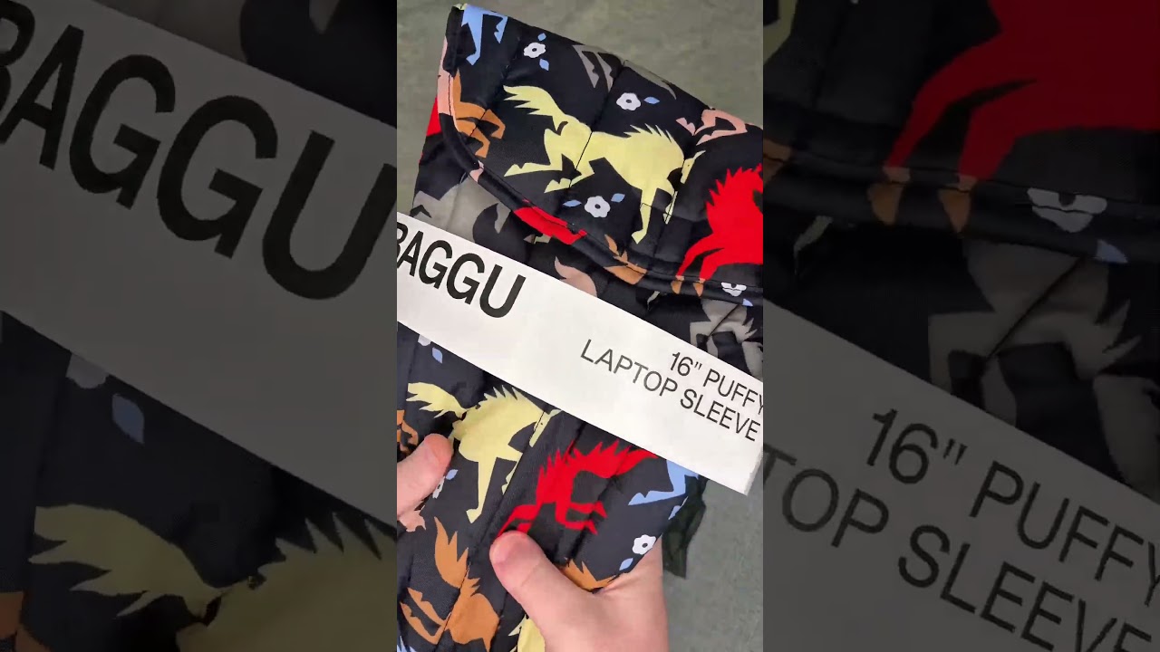Baggu Haul 