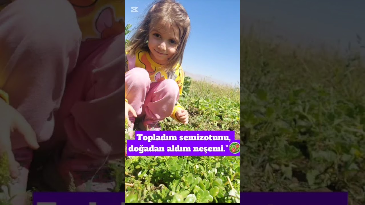 çocuk köyünde hasat zamanı