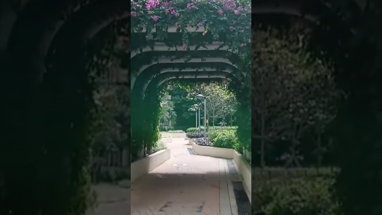 Beautiful Garden In Hong Kong #beautiful #garden #plants #hongkong
