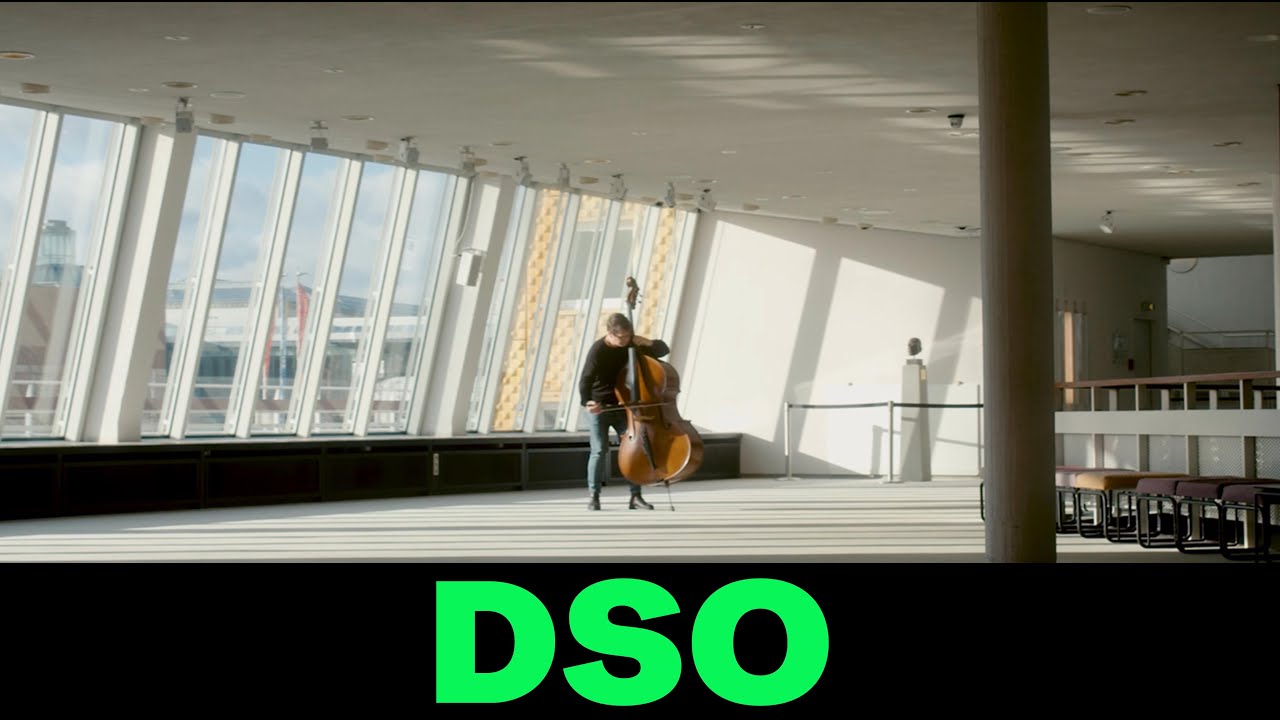 Solo-Kontrabass des DSO Berlin - Ander Perrino
